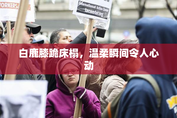 白鹿膝跪床榻，温柔瞬间令人心动