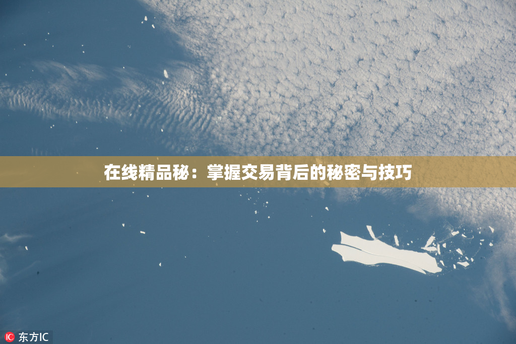 在线精品秘：掌握交易背后的秘密与技巧