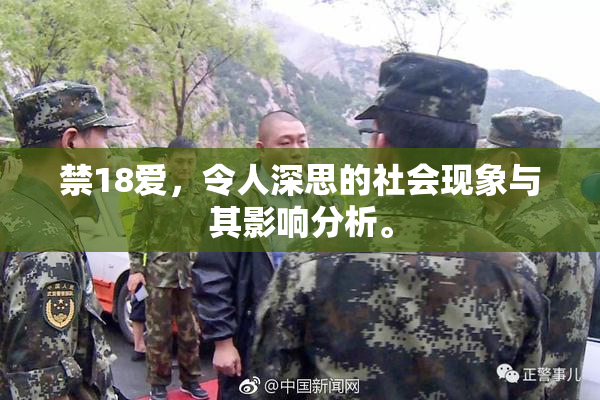 禁18爱，令人深思的社会现象与其影响分析。
