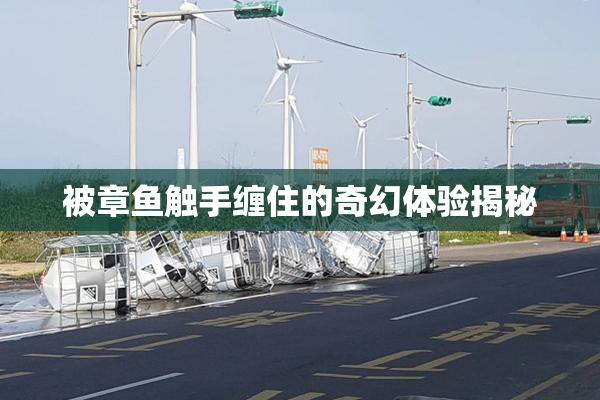 被章鱼触手缠住的奇幻体验揭秘