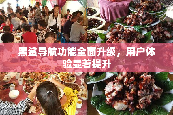 黑鲨导航功能全面升级，用户体验显著提升