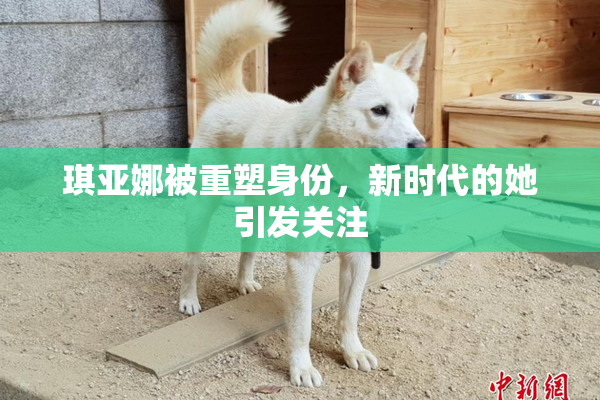 琪亚娜被重塑身份，新时代的她引发关注