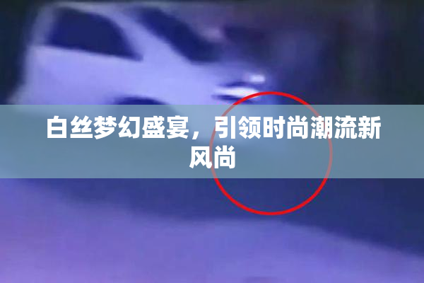 白丝梦幻盛宴，引领时尚潮流新风尚