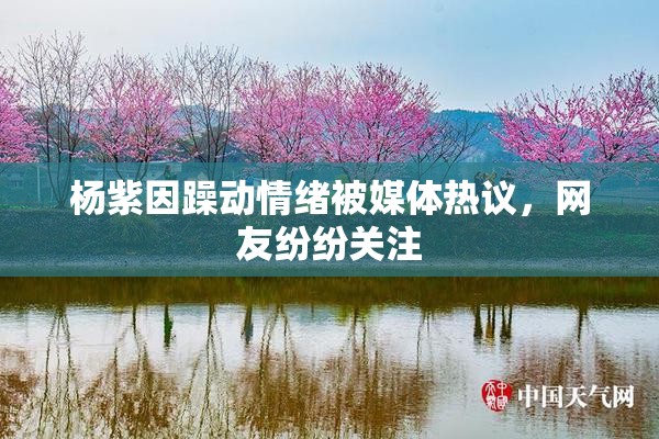 杨紫因躁动情绪被媒体热议，网友纷纷关注