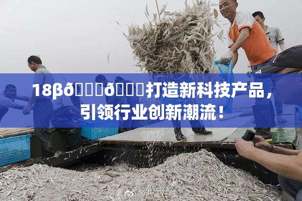 18β🍆🍑打造新科技产品，引领行业创新潮流！