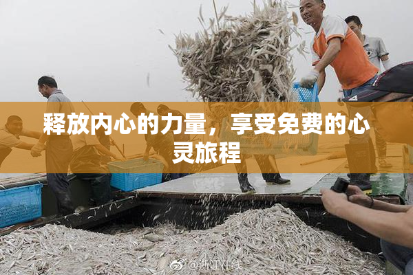 释放内心的力量，享受免费的心灵旅程
