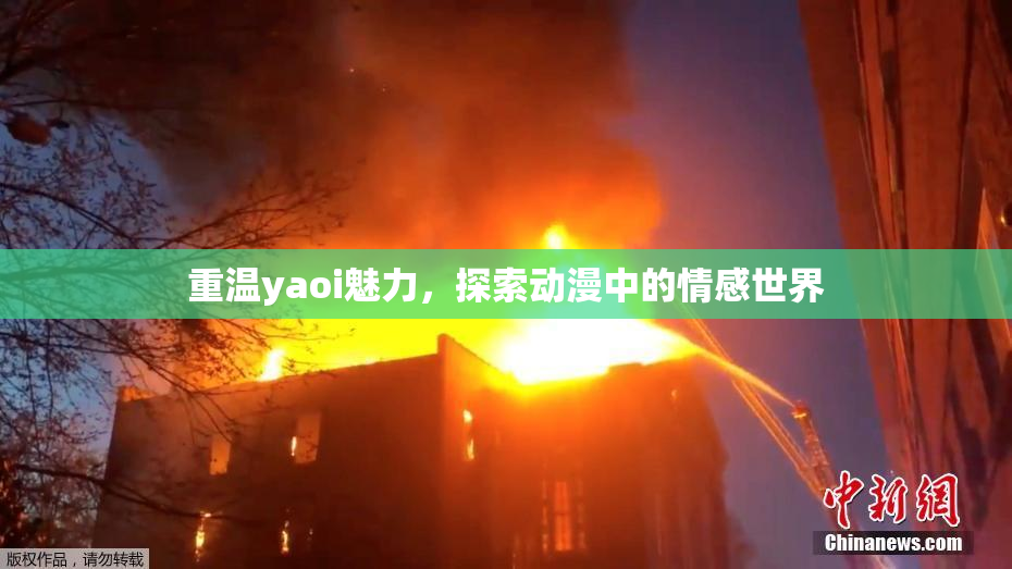 重温yaoi魅力，探索动漫中的情感世界