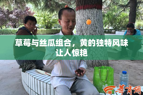 草莓与丝瓜组合，黄的独特风味让人惊艳