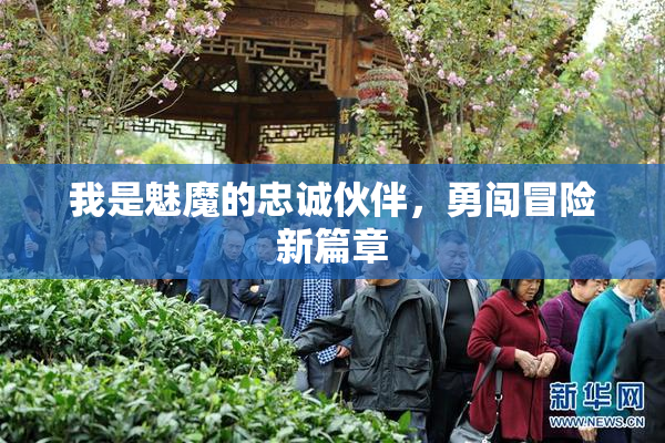 我是魅魔的忠诚伙伴，勇闯冒险新篇章