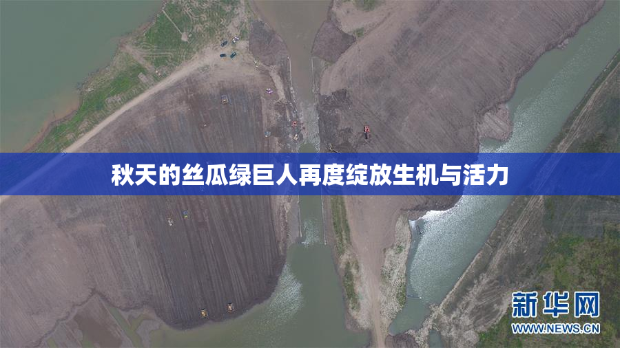 秋天的丝瓜绿巨人再度绽放生机与活力