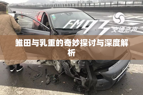 雏田与乳重的奇妙探讨与深度解析