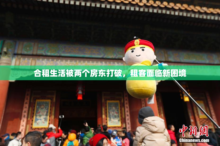 合租生活被两个房东打破，租客面临新困境