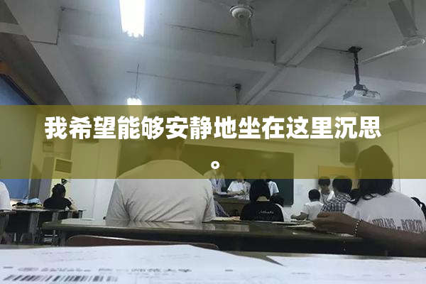 我希望能够安静地坐在这里沉思。