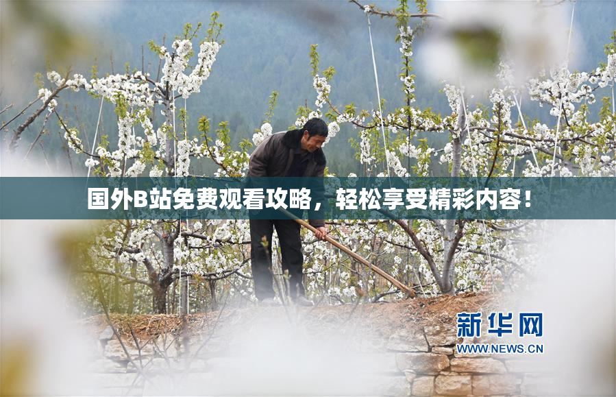 国外B站免费观看攻略，轻松享受精彩内容！
