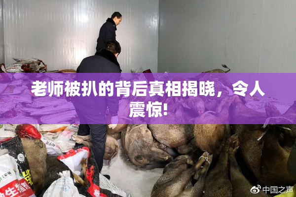 老师被扒的背后真相揭晓，令人震惊!