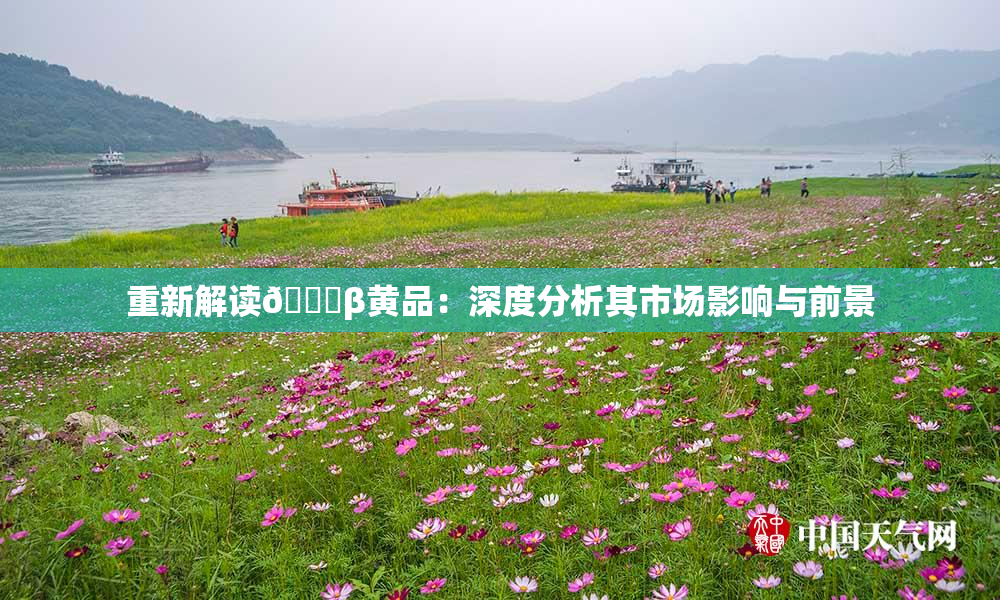重新解读🔞β黄品：深度分析其市场影响与前景