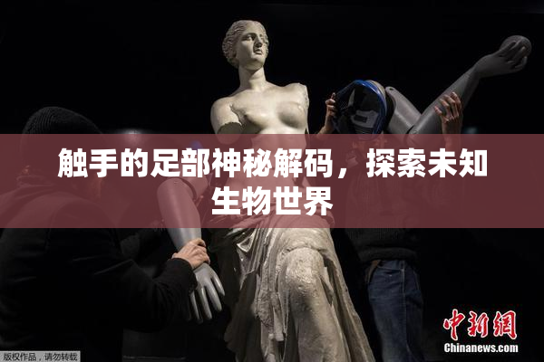 触手的足部神秘解码，探索未知生物世界