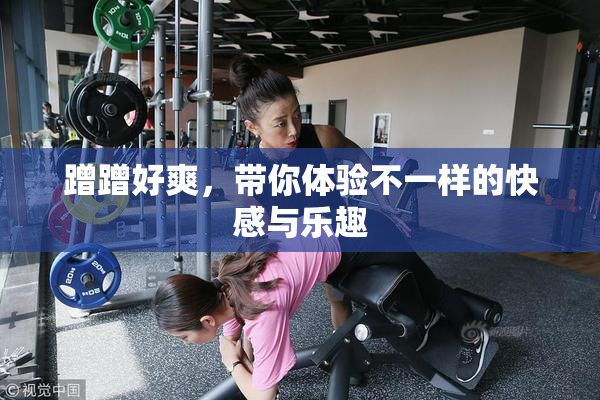 蹭蹭好爽，带你体验不一样的快感与乐趣