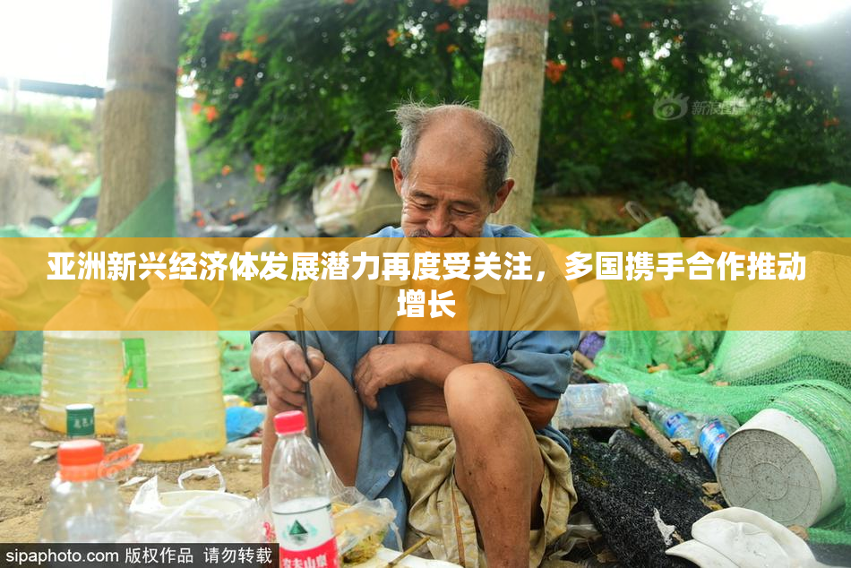 亚洲新兴经济体发展潜力再度受关注，多国携手合作推动增长