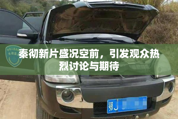 秦彻新片盛况空前，引发观众热烈讨论与期待
