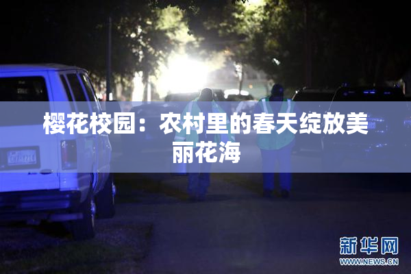 樱花校园：农村里的春天绽放美丽花海