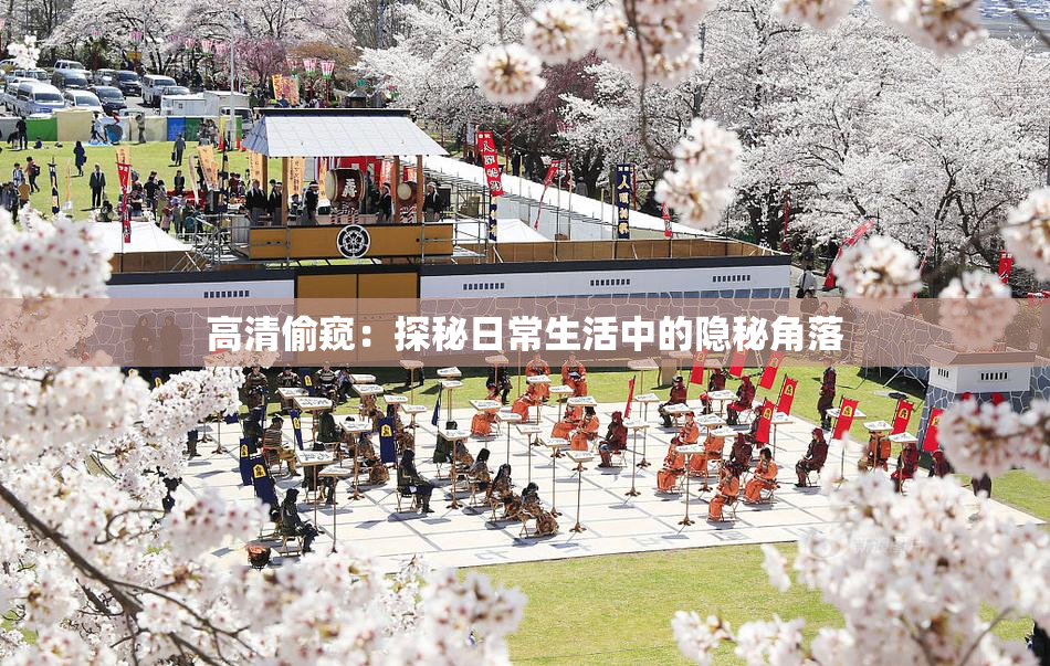 高清偷窥：探秘日常生活中的隐秘角落