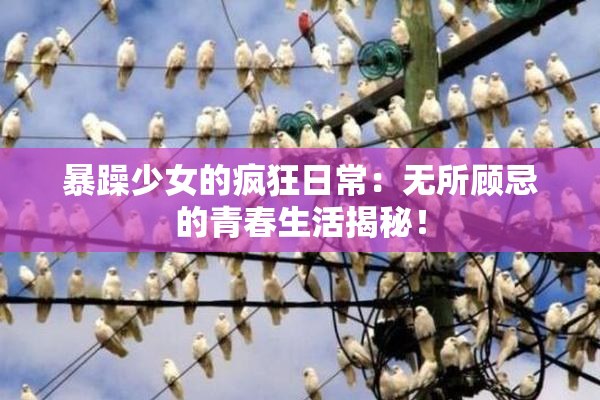 暴躁少女的疯狂日常：无所顾忌的青春生活揭秘！
