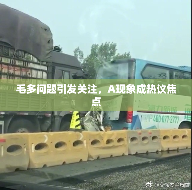 毛多问题引发关注，A现象成热议焦点