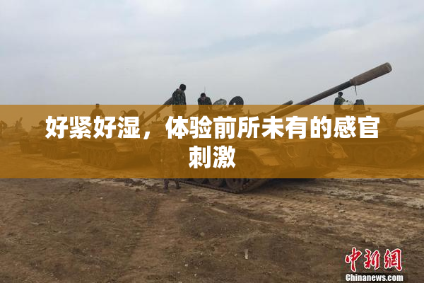 好紧好湿，体验前所未有的感官刺激