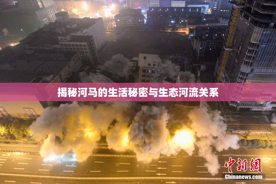 揭秘河马的生活秘密与生态河流关系