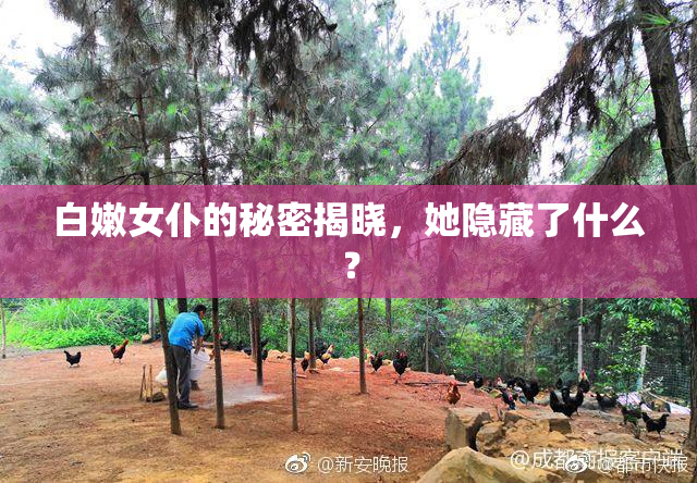 白嫩女仆的秘密揭晓，她隐藏了什么？