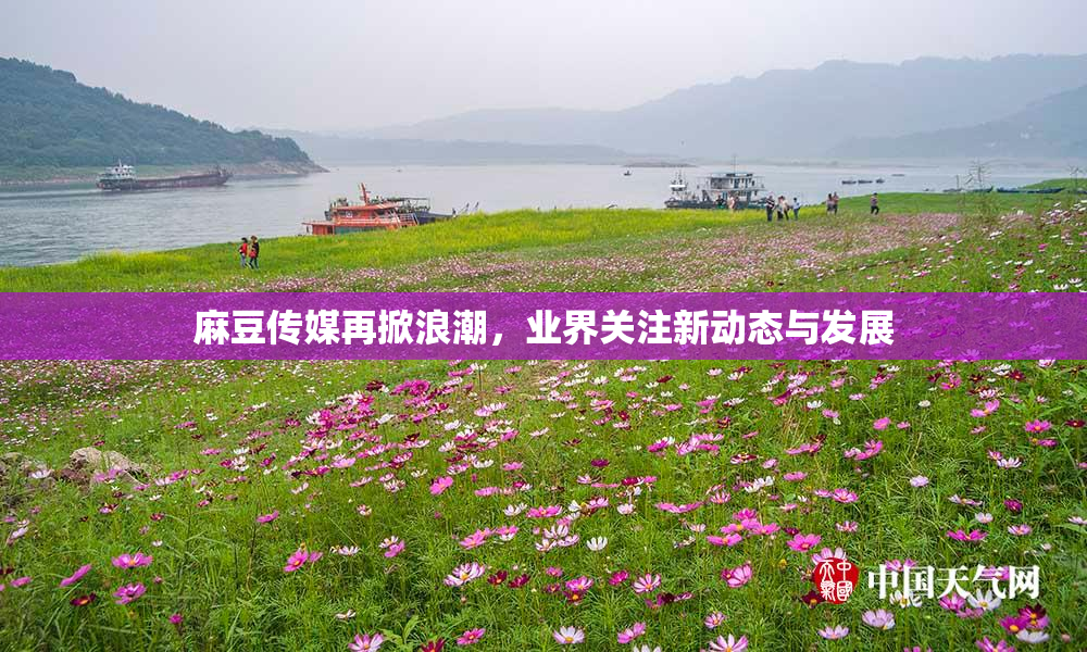 麻豆传媒再掀浪潮，业界关注新动态与发展