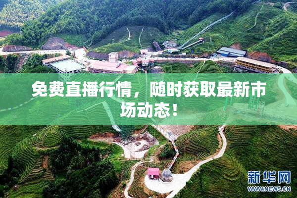 免费直播行情，随时获取最新市场动态！