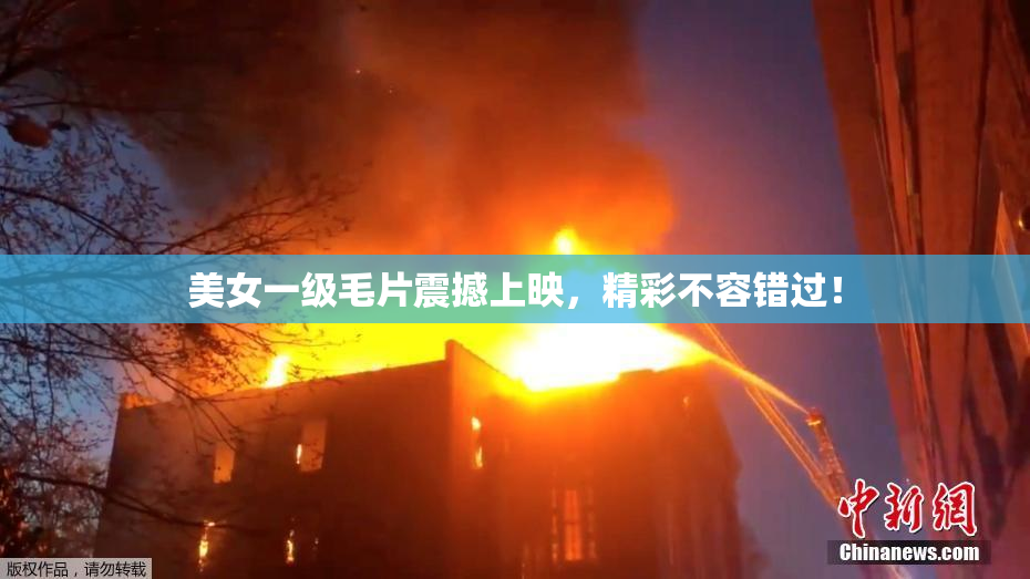 美女一级毛片震撼上映，精彩不容错过！
