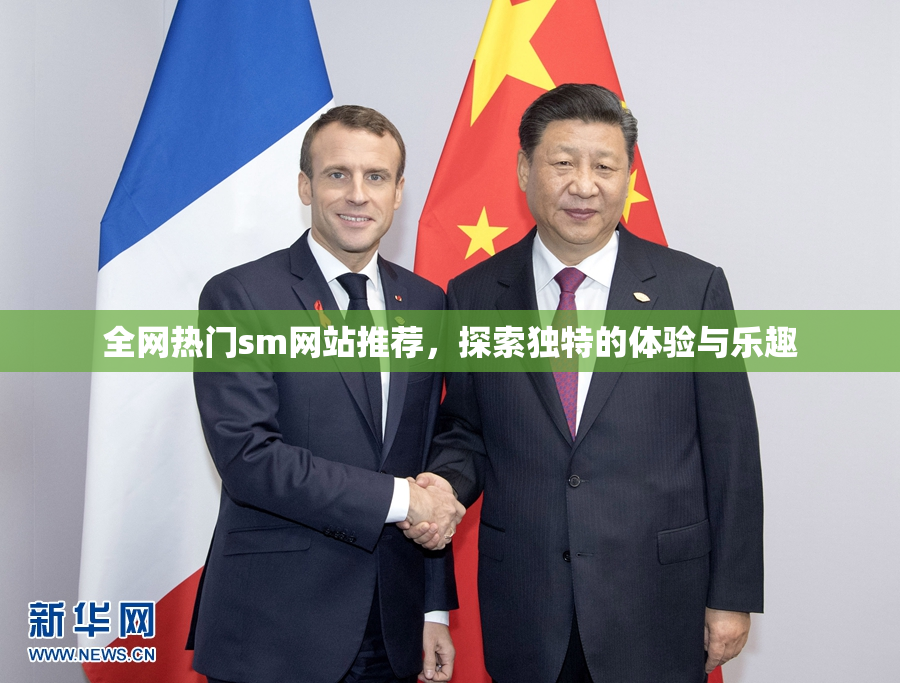 全网热门sm网站推荐，探索独特的体验与乐趣