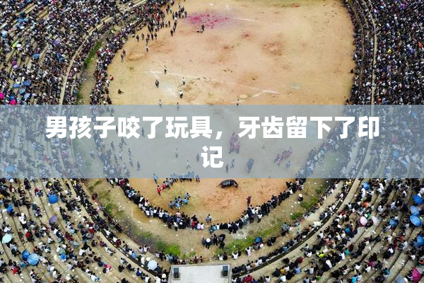 男孩子咬了玩具，牙齿留下了印记