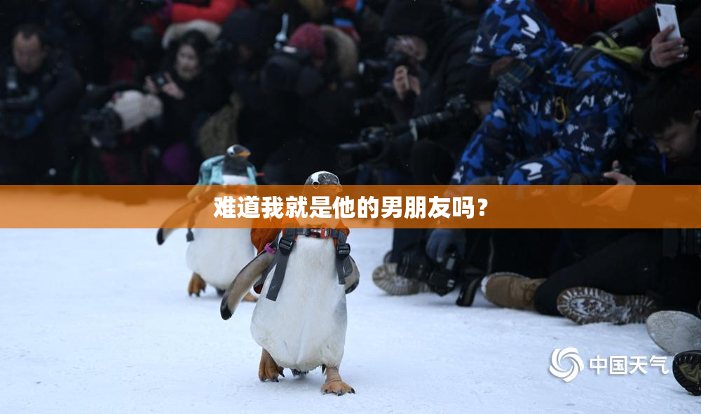 难道我就是他的男朋友吗？