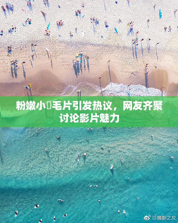 粉嫩小泬毛片引发热议，网友齐聚讨论影片魅力