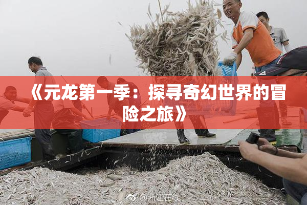 《元龙第一季：探寻奇幻世界的冒险之旅》