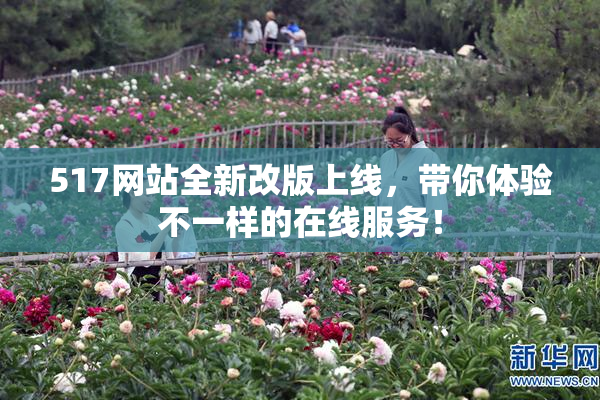 517网站全新改版上线，带你体验不一样的在线服务！