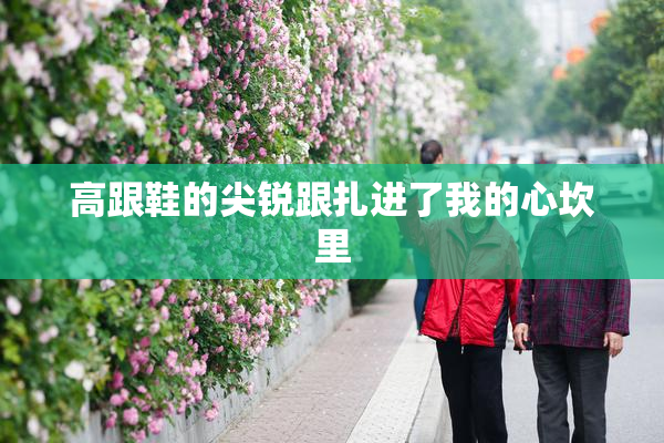 高跟鞋的尖锐跟扎进了我的心坎里