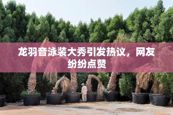 龙羽音泳装大秀引发热议，网友纷纷点赞