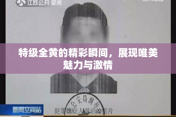 特级全黄的精彩瞬间，展现唯美魅力与激情