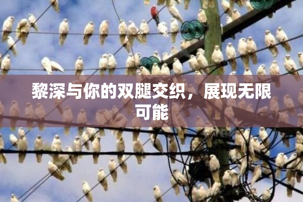 黎深与你的双腿交织，展现无限可能