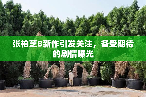 张柏芝B新作引发关注，备受期待的剧情曝光