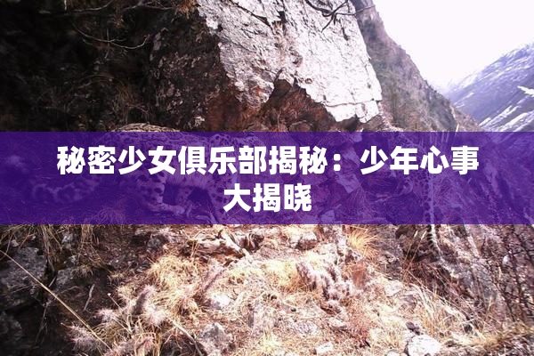秘密少女俱乐部揭秘：少年心事大揭晓