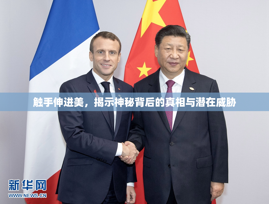 触手伸进美，揭示神秘背后的真相与潜在威胁