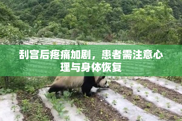 刮宫后疼痛加剧，患者需注意心理与身体恢复