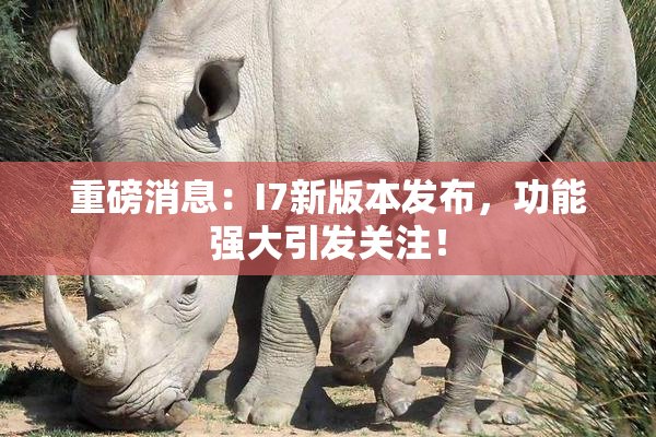 重磅消息：I7新版本发布，功能强大引发关注！