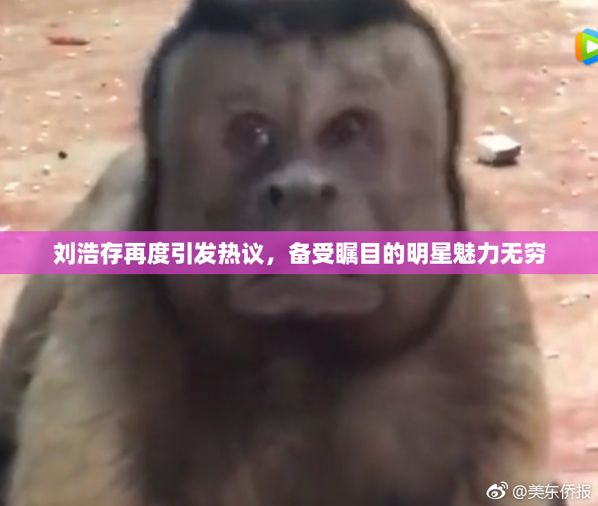刘浩存再度引发热议，备受瞩目的明星魅力无穷